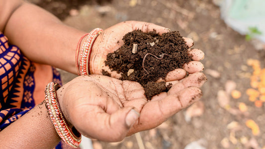 Preparing Your Soil for Spring Planting: Easy Testing & Amending Tips