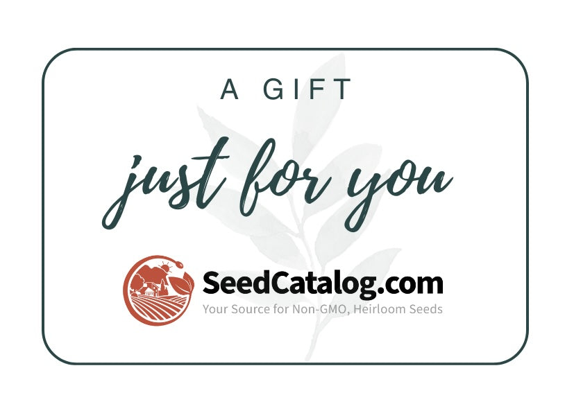 SeedCatalog Gift Cards SeedCatalog.com SeedCatalog Gift Cards SeedCatalog.com