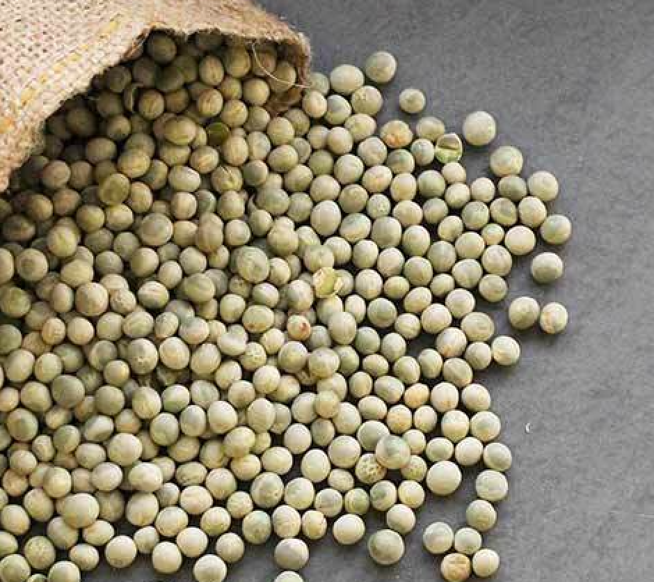 Green Pea