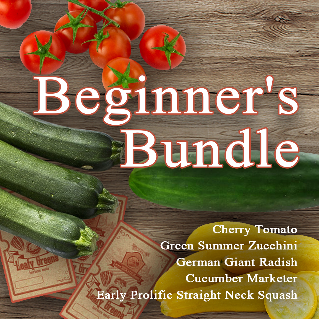 Beginner's Bundle