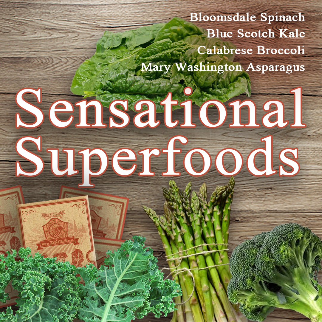 Sensational Superfoods