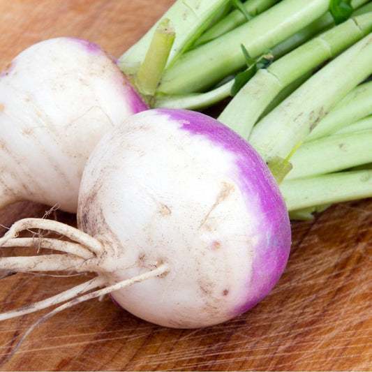 American Purple Top Rutabaga Seeds