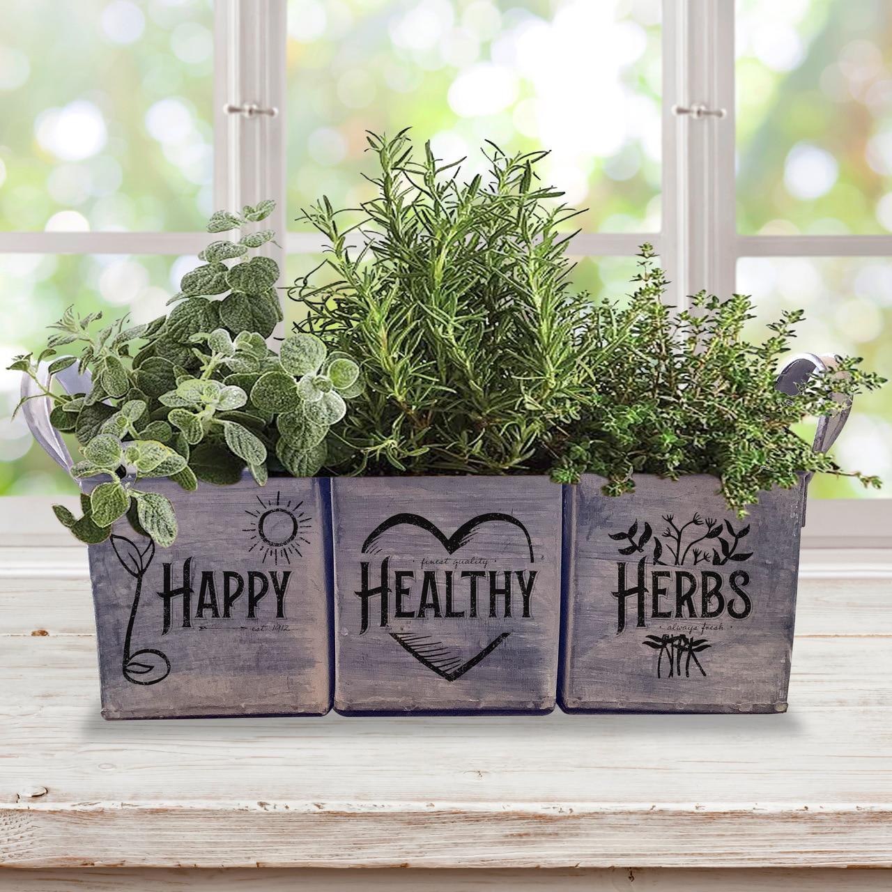 herb garden planter indoor Complete Indoor Herb Garden Kit