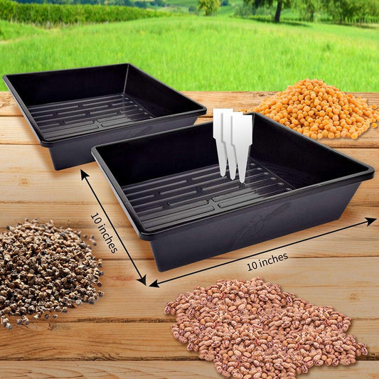 Microgreens Kit