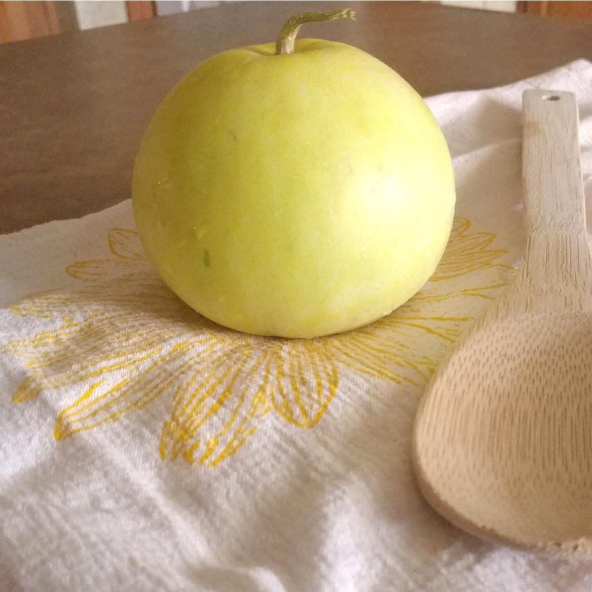 Sakata's Sweet Asian Melon Seeds