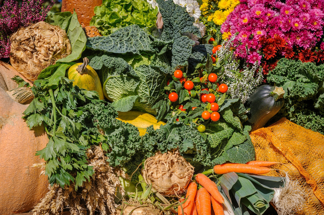 Summer vegetable and flower garden planting in July by growing zone
