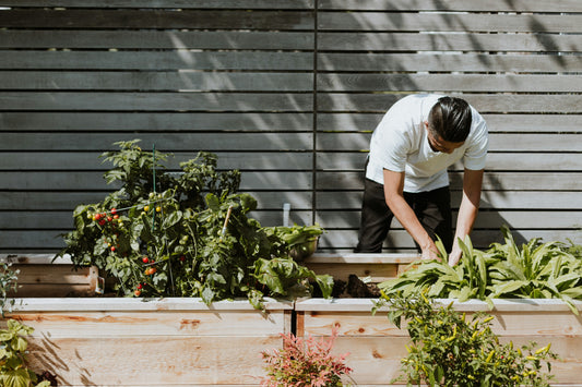 Gardening for Stress Relief: Why Digging in the Dirt Really Does Help