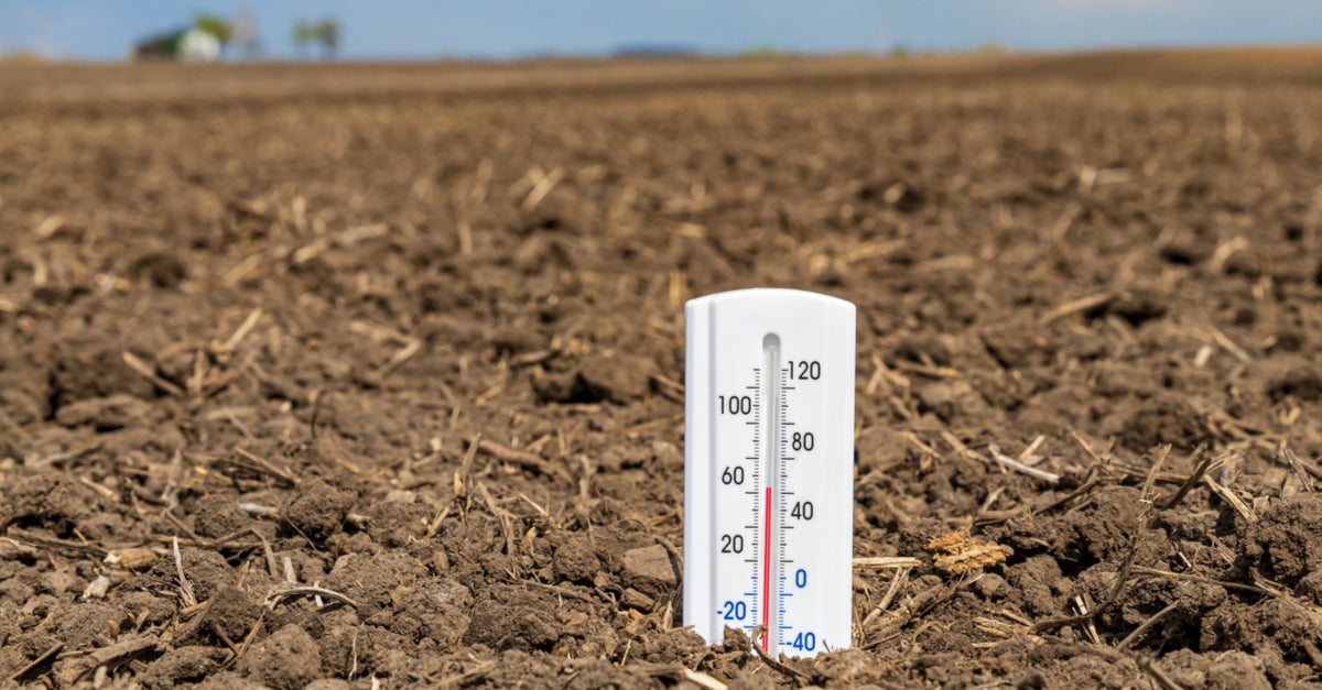 Soil Temperature Regulation For Successful Seed Germination ...