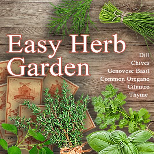 Easy Herb Garden Bundle