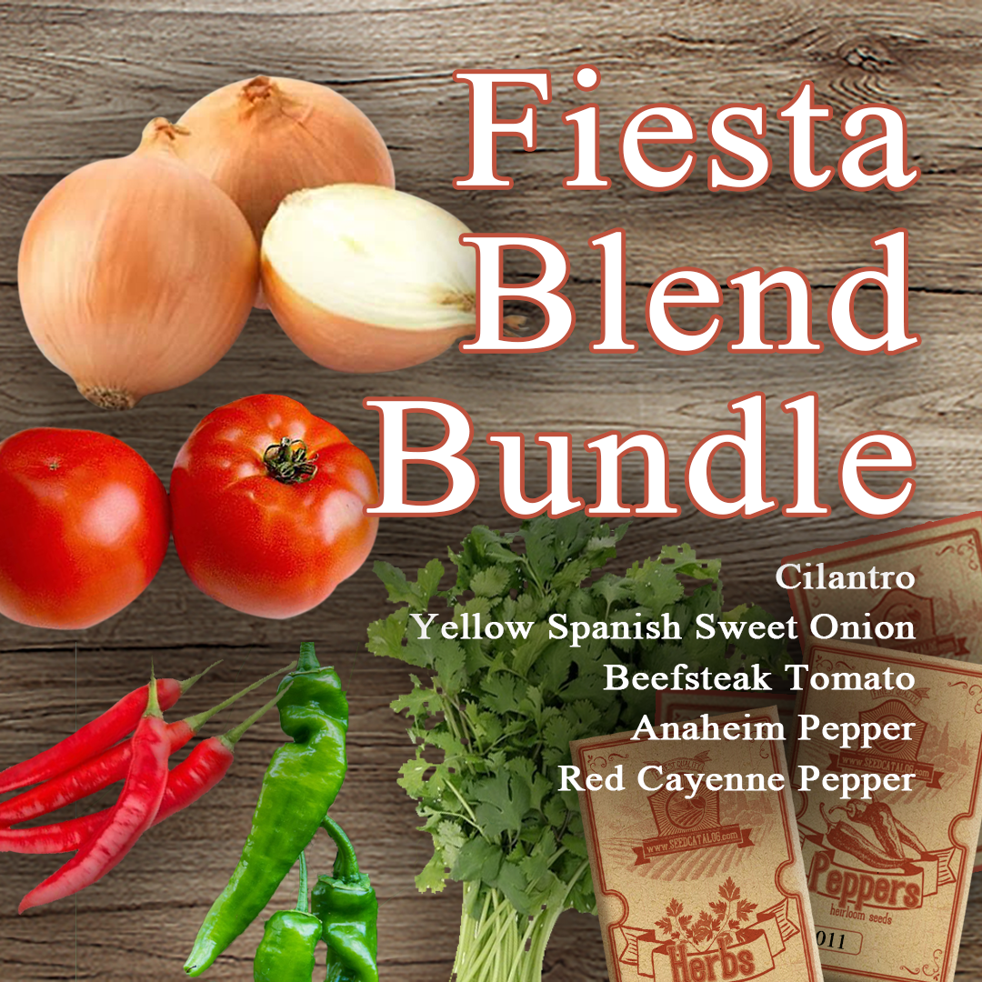 Fiesta Blend Bundle