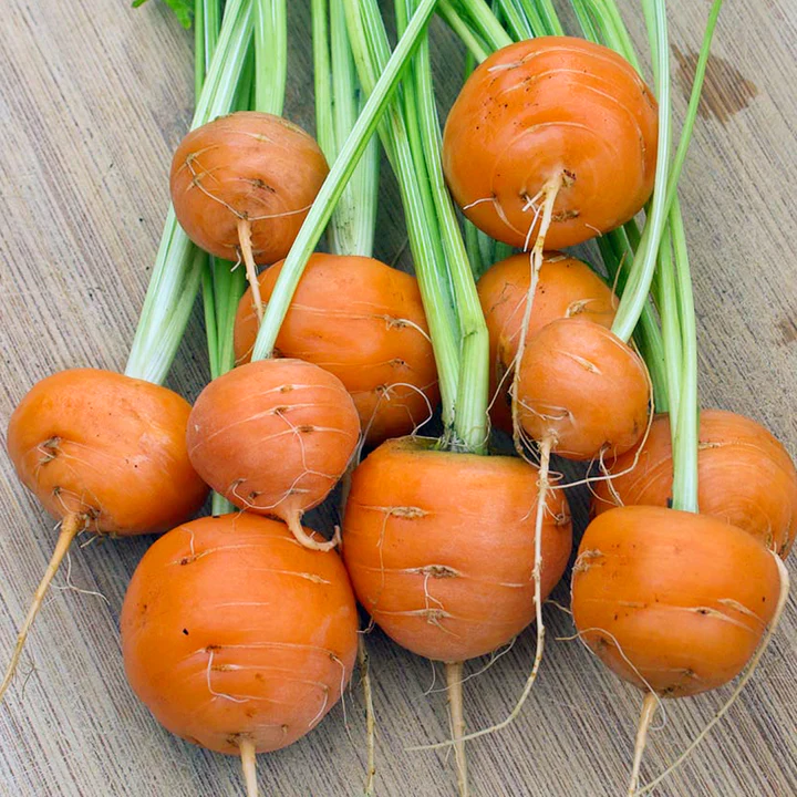 Parisian Carrot Seeds