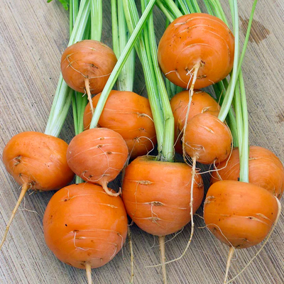 Parisian Carrot Seeds