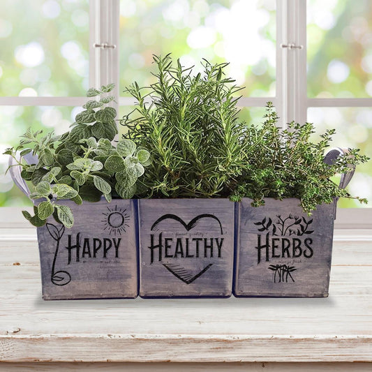 Complete Indoor Herb Garden Kit